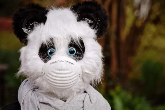 Casino Cabaret Club Kundeservice